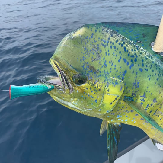 offshore fishing